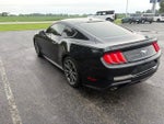 2019 Mustang Thumbnail 12