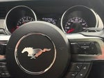 2019 Mustang Thumbnail 14