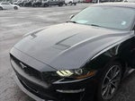 2019 Mustang Thumbnail 16