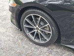 2019 Mustang Thumbnail 21