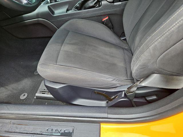 2019 Ford Mustang - $11,448