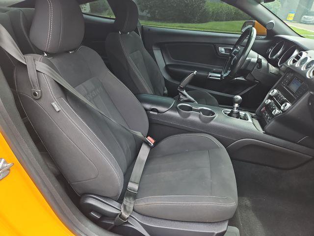 2019 Ford Mustang - $11,448