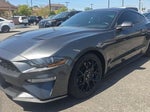 2019 Mustang Thumbnail 1