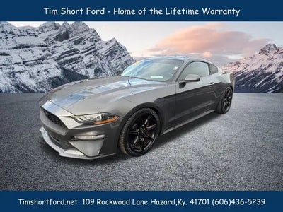 2019 Ford Mustang Ecoboost 2DR Fastback