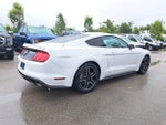 2020 Mustang Thumbnail 7