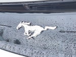 2020 Mustang Thumbnail 8
