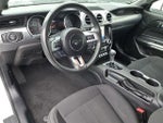 2020 Mustang Thumbnail 14