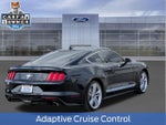2021 Mustang Thumbnail 7