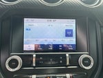 2021 Mustang Thumbnail 19