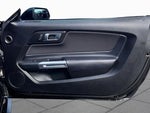 2021 Mustang Thumbnail 23