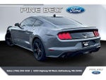 2021 Mustang Thumbnail 2