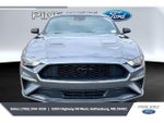 2021 Mustang Thumbnail 3