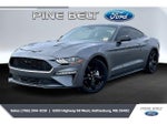 2021 Mustang Thumbnail 10
