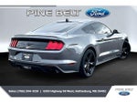 2021 Mustang Thumbnail 11