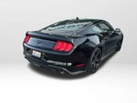 2021 Mustang Thumbnail 5