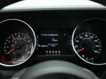 2021 Mustang Thumbnail 13