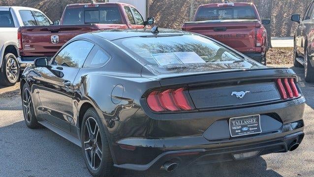 2023 Ford Mustang EcoBoost
