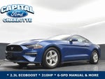 2023 Mustang Thumbnail 22