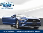 2023 Mustang Thumbnail 37