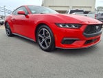 2024 Mustang Thumbnail 19