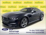 2024 Mustang Thumbnail 14