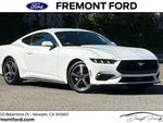 2024 Mustang Thumbnail 1