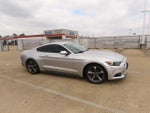 2015 Mustang Thumbnail 6