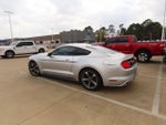 2015 Mustang Thumbnail 13
