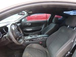 2015 Mustang Thumbnail 17