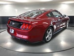 2015 Mustang Thumbnail 5