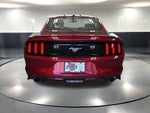 2015 Mustang Thumbnail 6
