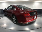 2015 Mustang Thumbnail 8