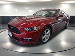 2015 Mustang Thumbnail 10