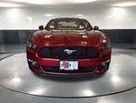 2015 Mustang Thumbnail 11