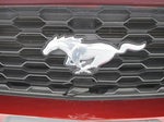 2017 Mustang Thumbnail 11