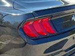 2018 Mustang Thumbnail 10