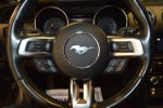 2018 Mustang Thumbnail 18