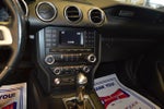 2018 Mustang Thumbnail 19