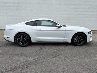 2019 Ford Mustang Ecoboost 2DR Fastback
