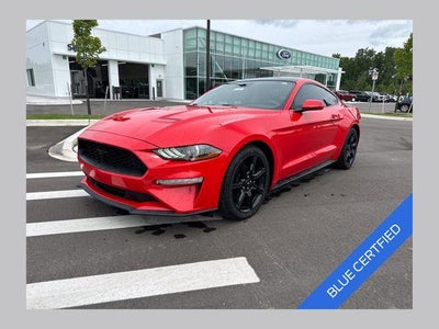 2019 Ford Mustang Ecoboost 2DR Fastback