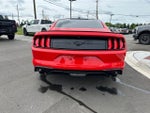 2019 Mustang Thumbnail 3