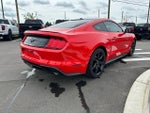2019 Mustang Thumbnail 4