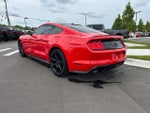 2019 Mustang Thumbnail 5