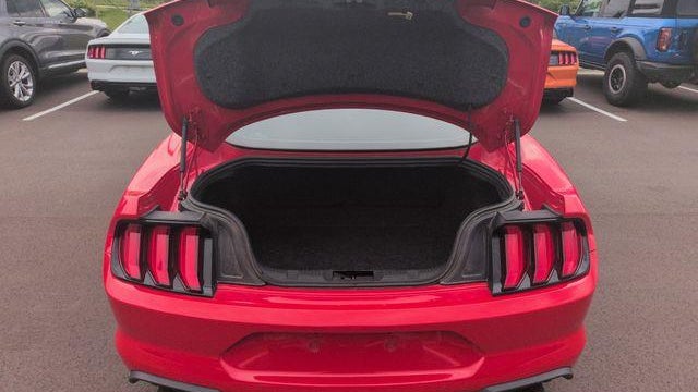 2019 Ford Mustang EcoBoost