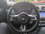 2019 Mustang Thumbnail 24