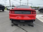 2019 Mustang Thumbnail 3