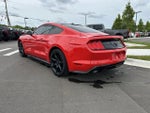 2019 Mustang Thumbnail 5