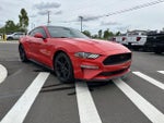 2019 Mustang Thumbnail 7