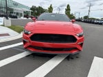 2019 Mustang Thumbnail 8