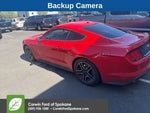 2019 Mustang Thumbnail 1